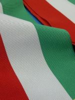 fascia sindaco